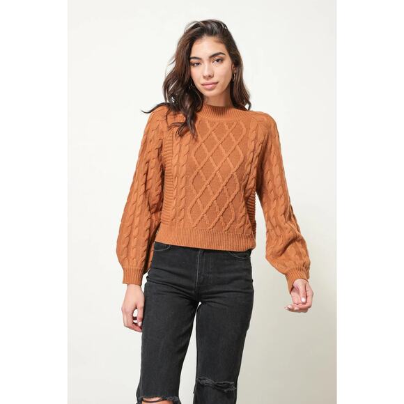 Line & Dot Brown Cable Knit Mock Neck Long Sleeve Pullover Sweater Top Size S - Picture 1 of 9